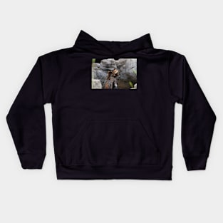 Playful Grizzly Kids Hoodie